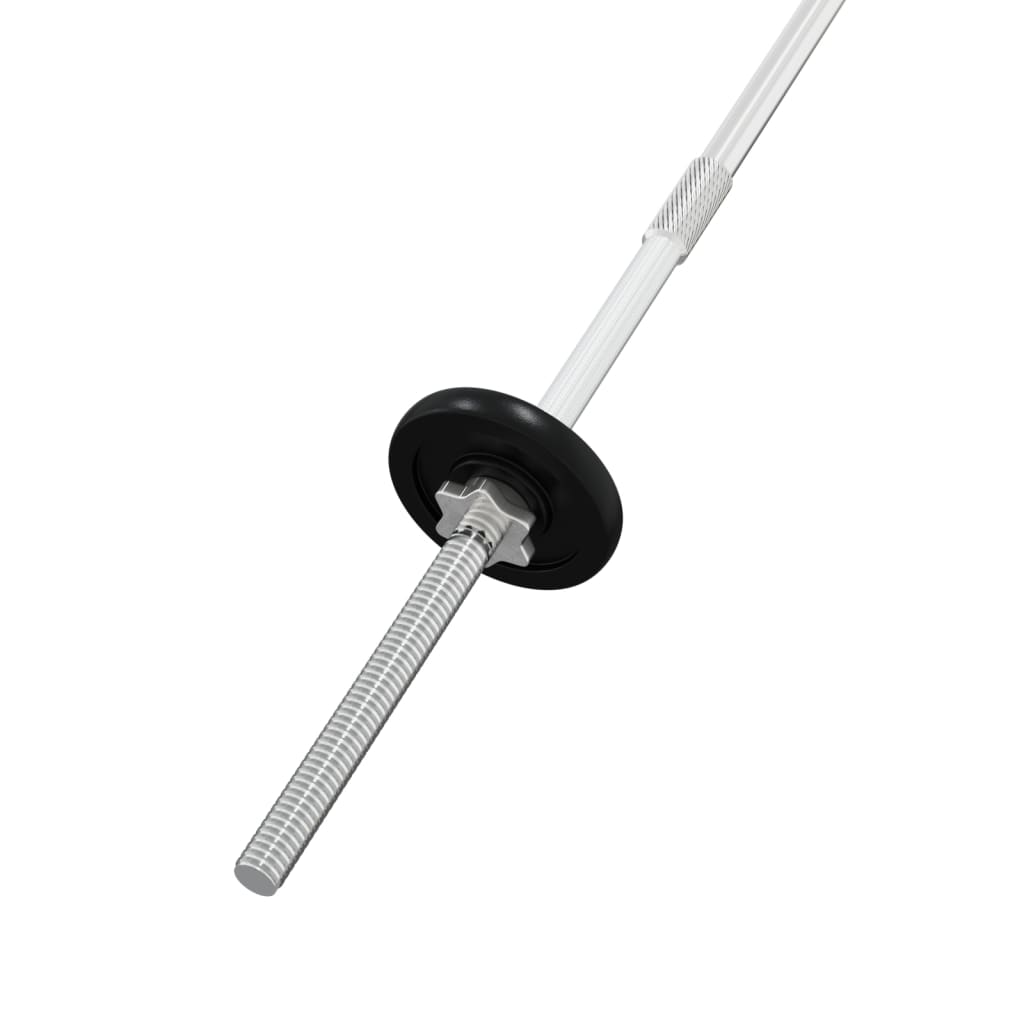 vidaXL Halterset 30 kg gietijzer