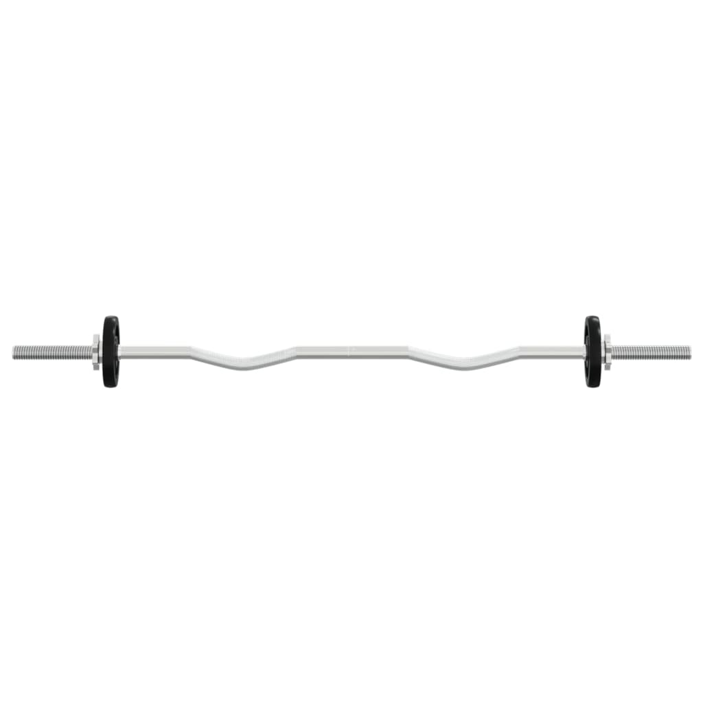 vidaXL Halterset 30 kg gietijzer