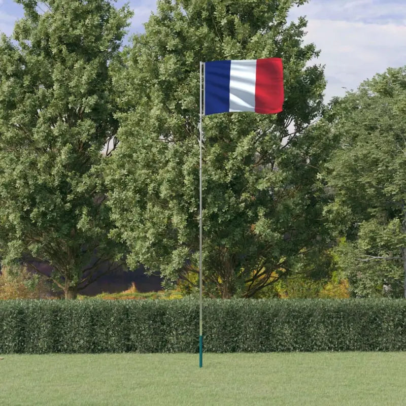 Aluminium vlaggenmast voor nationale vlaggen en feestelijke gelegenheden - 5.55 m / Frankrijk - Vlaggen & windzakken