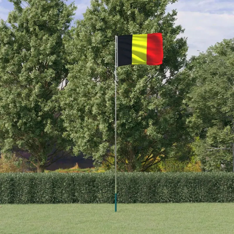 Aluminium vlaggenmast voor nationale vlaggen en feestelijke gelegenheden - 5.55 m / België - Vlaggen & windzakken