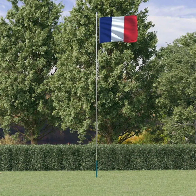 Aluminium vlaggenmast voor nationale vlaggen en feestelijke gelegenheden - 6.23 m / Frankrijk - Vlaggen & windzakken