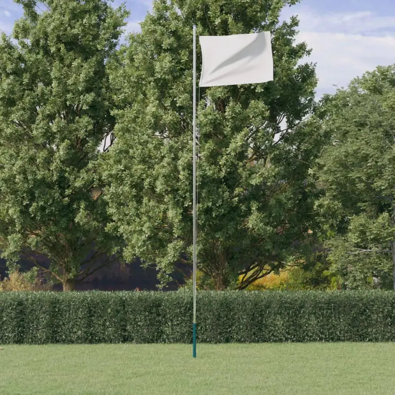 Aluminium vlaggenmast voor nationale vlaggen en feestelijke gelegenheden - 6.23 m / Alleen vlaggenmast - Vlaggen &