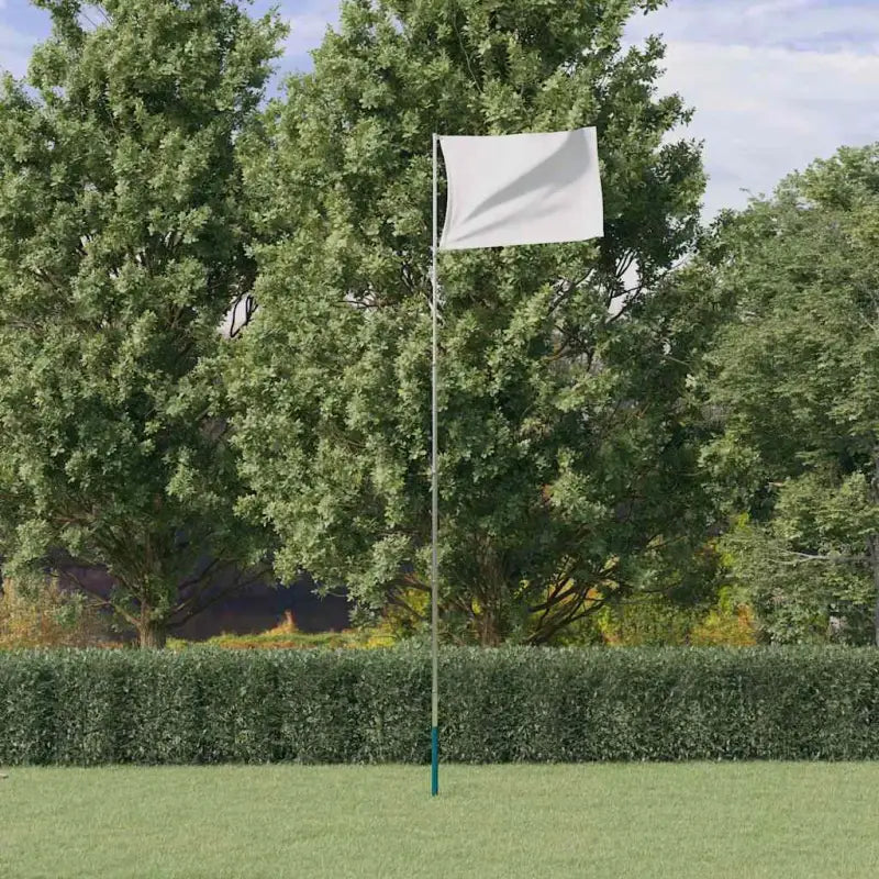 Aluminium vlaggenmast voor nationale vlaggen en feestelijke gelegenheden - 5.55 m / Alleen vlaggenmast - Vlaggen &