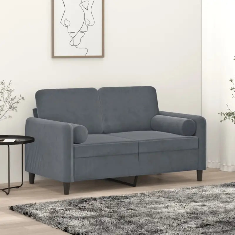Banken met moderne uitstraling en comfortabele materiaal vulling - Donkergrijs / 120 cm - Banken