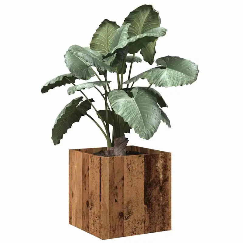Bloeipot Grijs Sonoma Eiken van bewerkt hout voor planten en bloemen - Oud hout / 1 - Bloempotten & plantenbakken