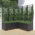 Bloempot met latwerk voor klimplanten in tuin of terras - Zwart / 120 x 120 x 136 cm / 1 - Bloempotten & plantenbakken