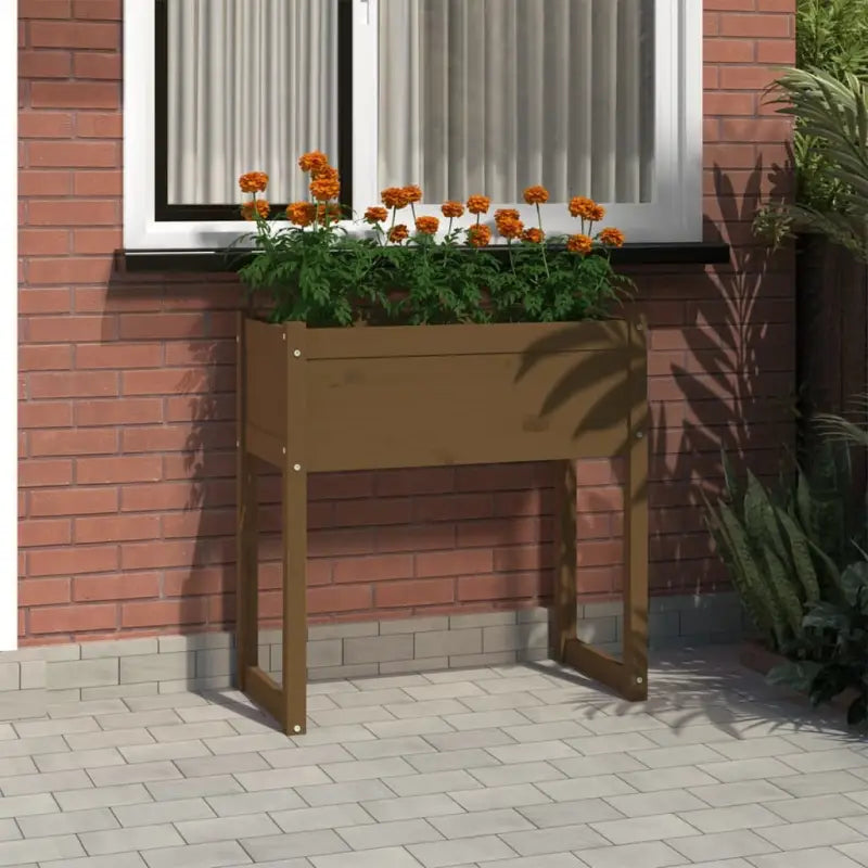 Bloempot of plantenbak van massief grenenhout voor tuin en balkon - Honingbruin / 1 - Bloempotten & plantenbakken