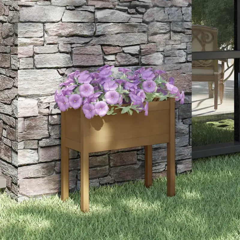 Bloempotten en plantenbakken van massief grenenhout voor je tuin - Honingbruin / 1 - Bloempotten & plantenbakken