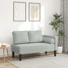 Chaise longue met fluwelen stof en comfortabele afmetingen kussen - Lichtgrijs / 1 - Chaises longues