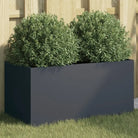 Cortenstalen plantenbakken voor tuin balkon en terras - Staal/Antracietkleurig / 62 x 30 x 29 cm / 1 - Bloempotten &