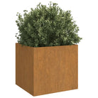 Cortenstalen plantenbakken voor tuin balkon en terras - Bloempotten & plantenbakken