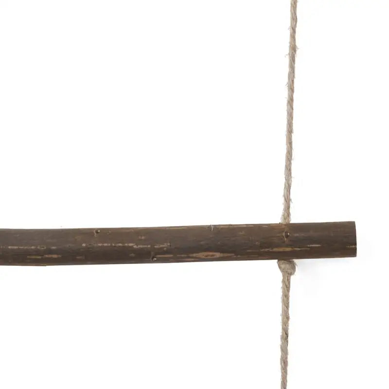 Decoratie met natuurlijke houten takken voor feestdagen - Accessoires voor feestdagminiaturen