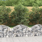 Decoratieve tuinbarrière van gegalvaniseerd ijzer met versterkte schanskorfhaken - 100 x 30 x 40/60 cm / 1