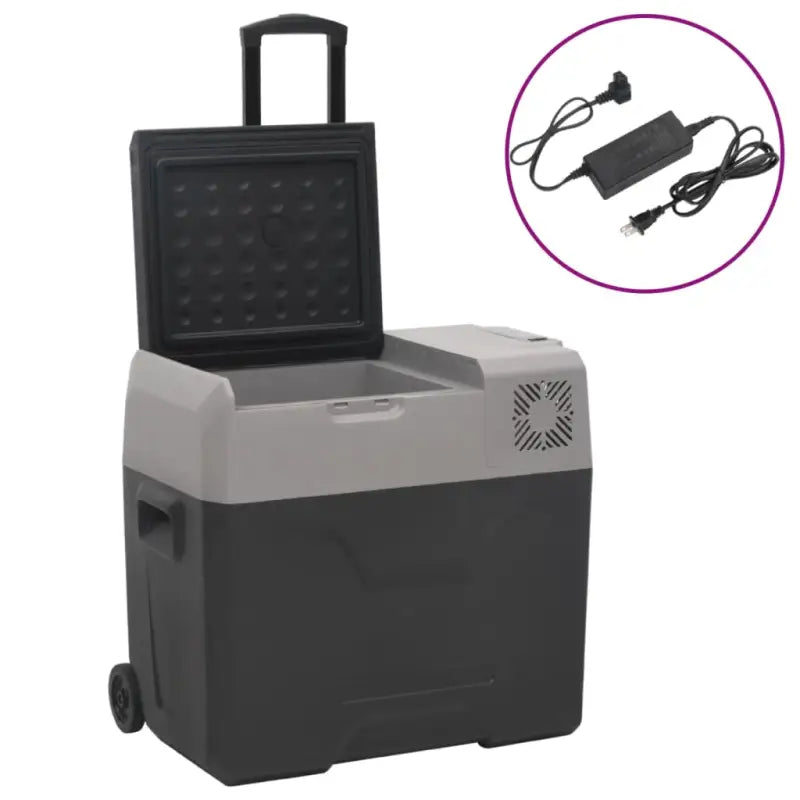 Draagbare koelbox voor verse voeding en koude dranken - 40 l / met adapter - Koelers