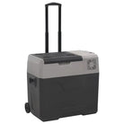 Draagbare koelbox voor verse voeding en koude dranken - 40 l / zonder adapter - Koelers