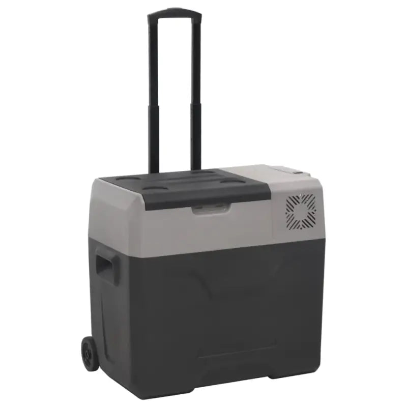 Draagbare koelbox voor verse voeding en koude dranken - 40 l / zonder adapter - Koelers