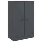 Dressoir met koudgewalst staal voor een trendy en praktische kameroptiek - Dressoirs & buffetkasten