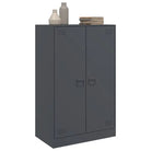 Dressoir met koudgewalst staal voor een trendy en praktische kameroptiek - Dressoirs & buffetkasten