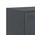 Dressoir met koudgewalst staal voor een trendy en praktische kameroptiek - Dressoirs & buffetkasten