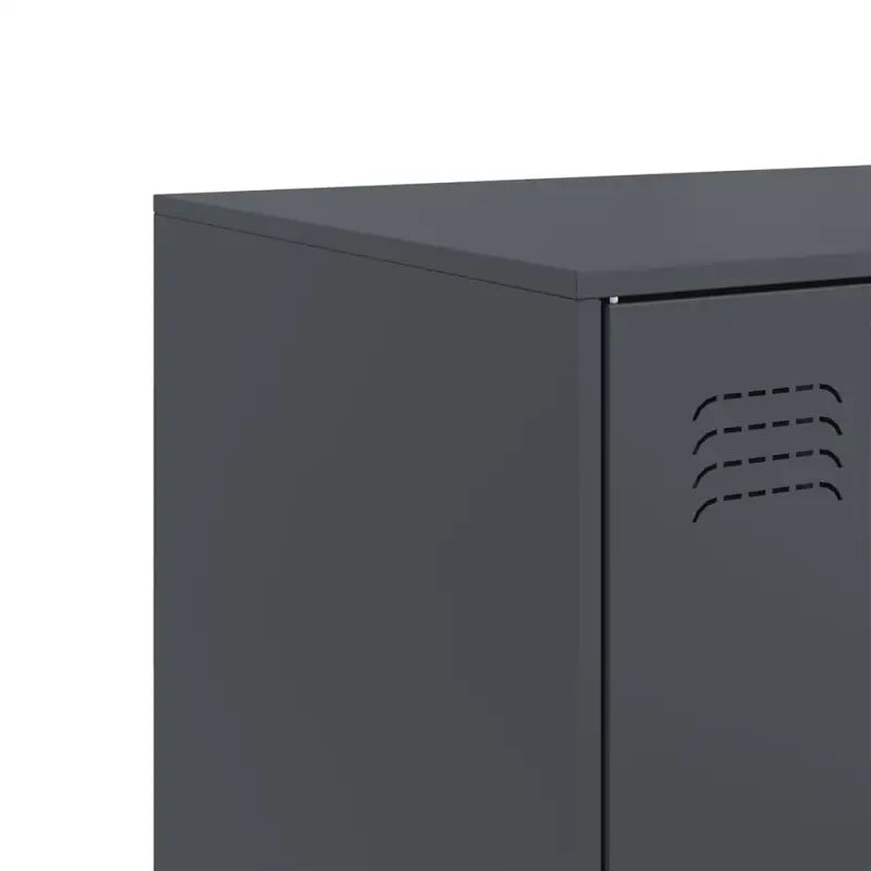 Dressoir met koudgewalst staal voor een trendy en praktische kameroptiek - Dressoirs & buffetkasten