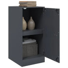 Dressoir met stabiel frame van koudgewalst staal netjes en trendy - Dressoirs & buffetkasten