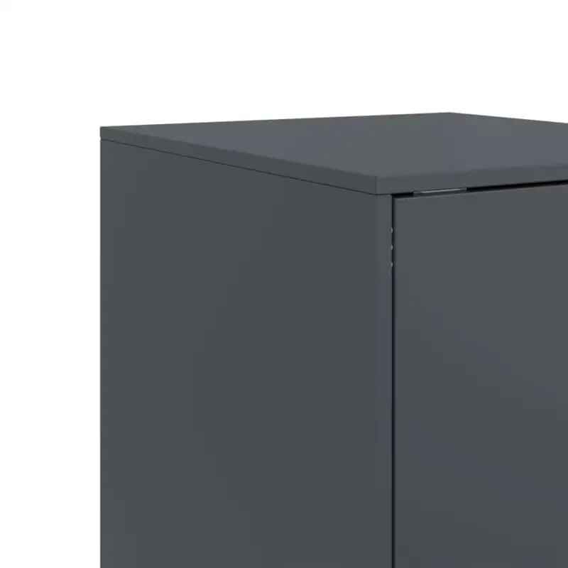Dressoir met stabiel frame van koudgewalst staal netjes en trendy - Dressoirs & buffetkasten
