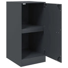 Dressoir met stabiel frame van koudgewalst staal netjes en trendy - Dressoirs & buffetkasten
