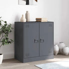 Dressoir met stevig koudgewalst staal frame voor een moderne woonkamer - Dressoirs & buffetkasten