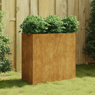Duurzame cortenstaal plantenbakken met open bodem voor tuin en balkon - 80 x 40 x 80 cm / 1 - Bloempotten &