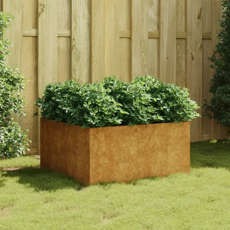 Duurzame cortenstaal plantenbakken met open bodem voor tuin en balkon - 80 x 80 x 40 cm / 1 - Bloempotten &