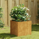 Duurzame cortenstaal plantenbakken met open bodem voor tuin en balkon - 40 x 41 x 40 cm / 1 - Bloempotten &