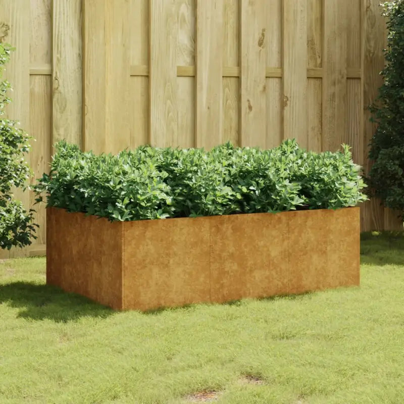 Duurzame cortenstaal plantenbakken met open bodem voor tuin en balkon - 120 x 80 x 40 cm / 1 - Bloempotten &