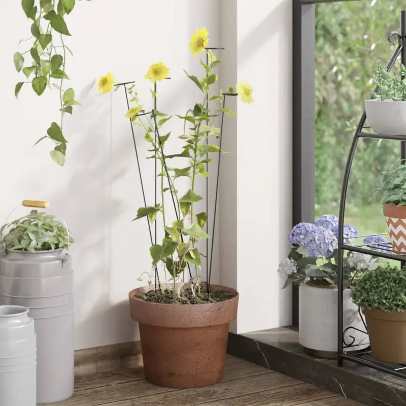 Duurzame plantenkooien en steunen voor gezonde groei - 61 cm / 20 - Plantenkooien & -steunen