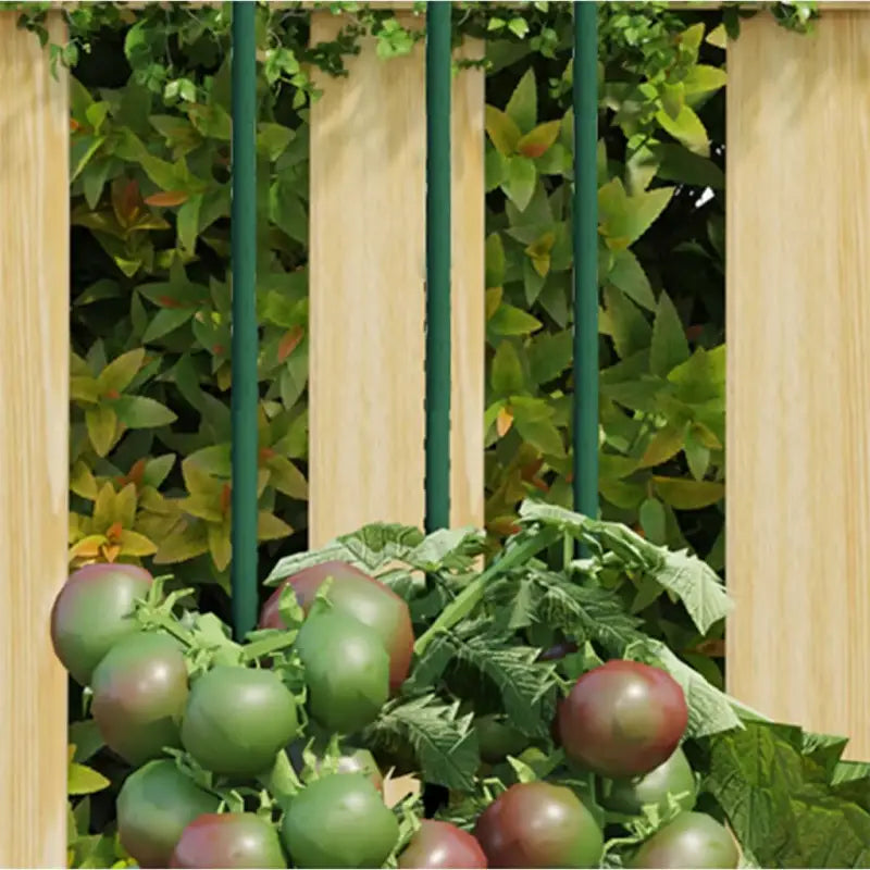 Duurzame Stalen Plantenkooien en Steunen voor Groene Groei - 115 cm / 30 - Plantenkooien & -steunen