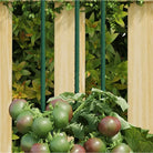 Duurzame Stalen Plantenkooien en Steunen voor Groene Groei - 60 cm / 30 - Plantenkooien & -steunen