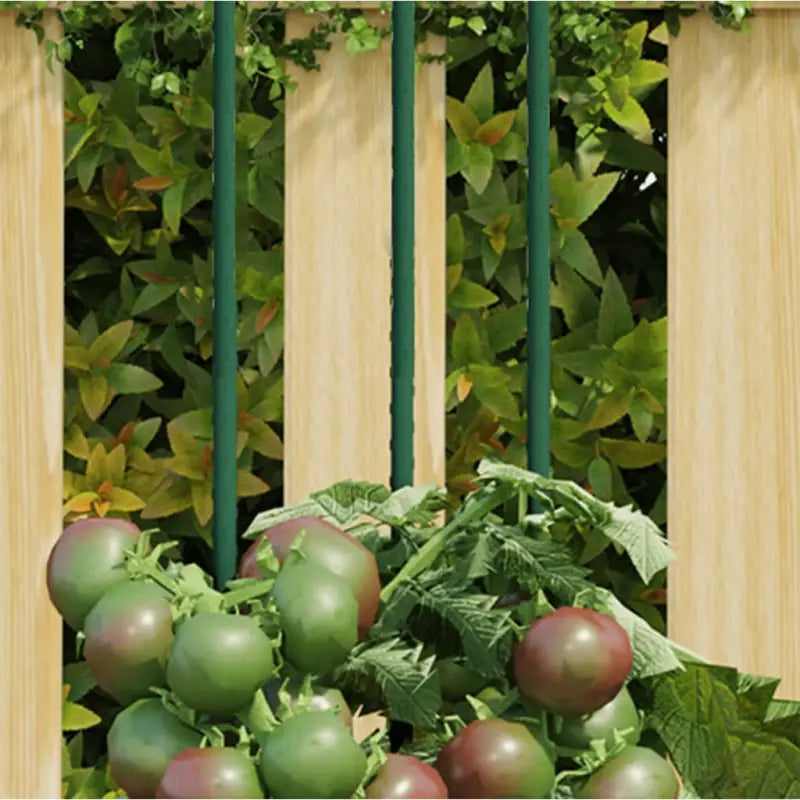 Duurzame Stalen Plantenkooien en Steunen voor Groene Groei - 60 cm / 30 - Plantenkooien & -steunen