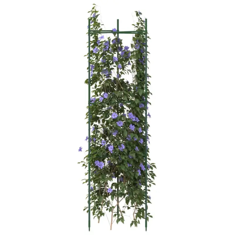 Duurzame verstelbare Tomatenkooi voor ondersteuning van planten - 116 cm / 2 / zonder zak - Plantenstandaarden