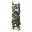 Duurzame verstelbare Tomatenkooi voor ondersteuning van planten - 116 cm / 6 / zonder zak - Plantenstandaarden
