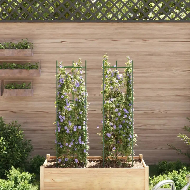 Duurzame verstelbare Tomatenkooi voor ondersteuning van planten - Plantenstandaarden