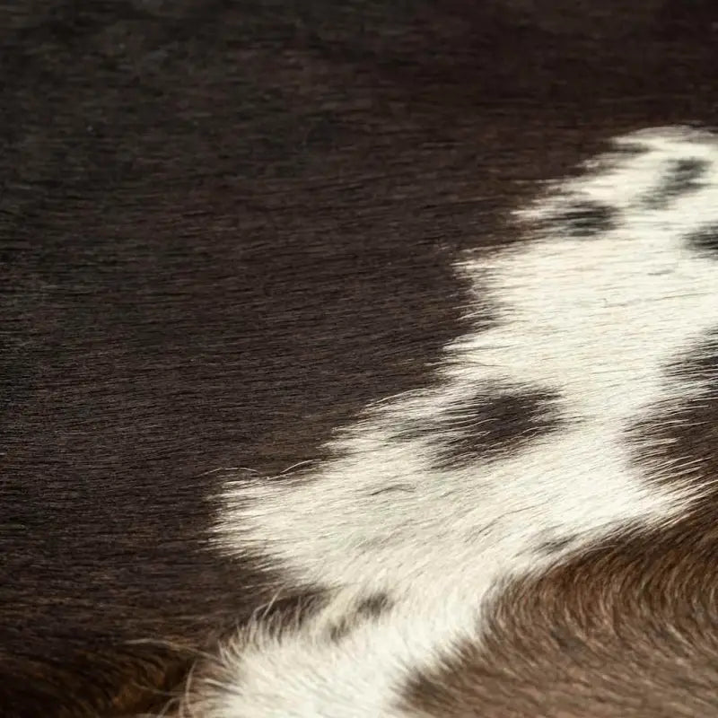 Echte koeienhuid vloerkleed voor een Western en wilde sfeer - Vloerkleden
