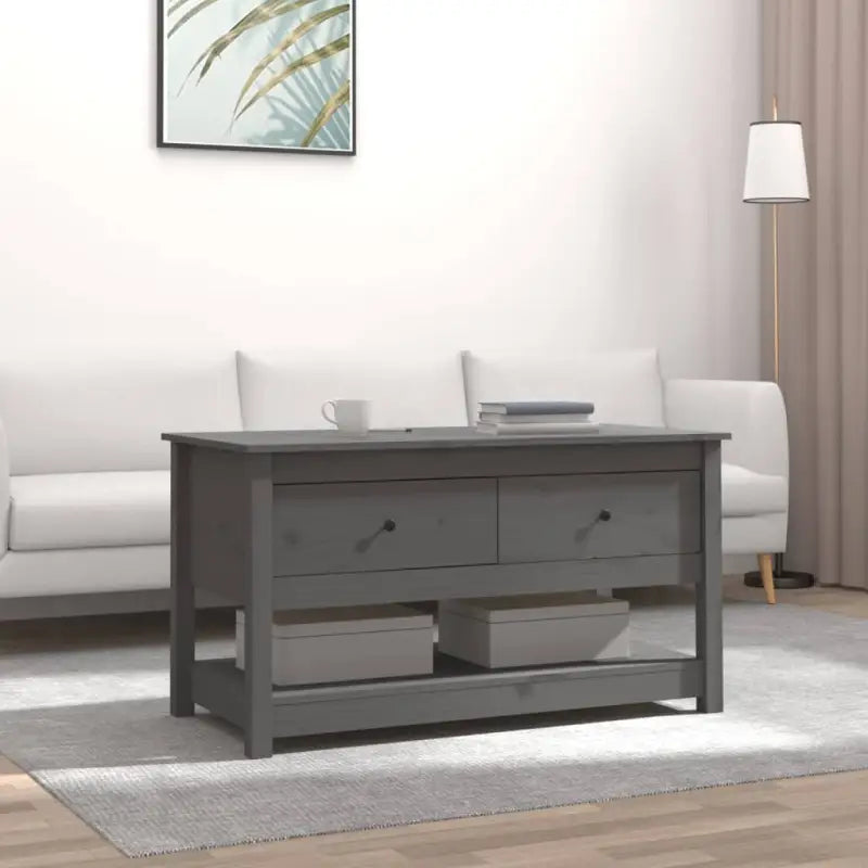Elegante salontafel van massief grenenhout voor thuis - Grijs / 1 - Salontafels