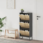 Elegante schoenenkast met ijzeren poot en bewerkt hout voor overzicht - Zwart / 1 - Schoenenrekken