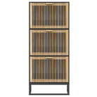 Elegante schoenenkast met ijzeren poot en bewerkt hout voor overzicht - Zwart / 1 - Schoenenrekken