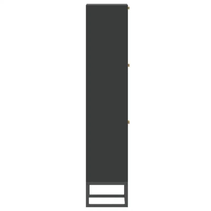 Elegante schoenenkast met ijzeren poot en bewerkt hout voor overzicht - Zwart / 1 - Schoenenrekken