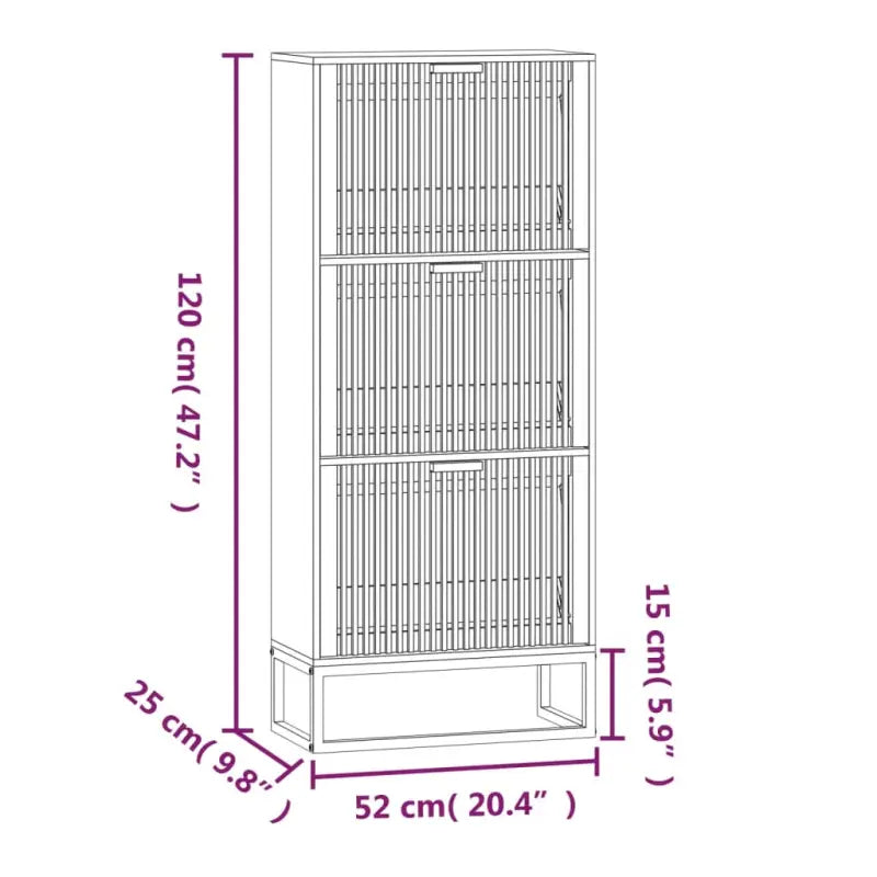 Elegante schoenenkast met ijzeren poot en bewerkt hout voor overzicht - Zwart / 1 - Schoenenrekken