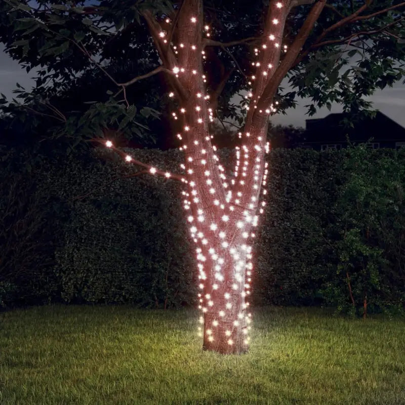 Energiebesparende LED Kerstverlichting met veel LEDs voor feestdagen - Warmwit / 5 / 1 - Kerstverlichting