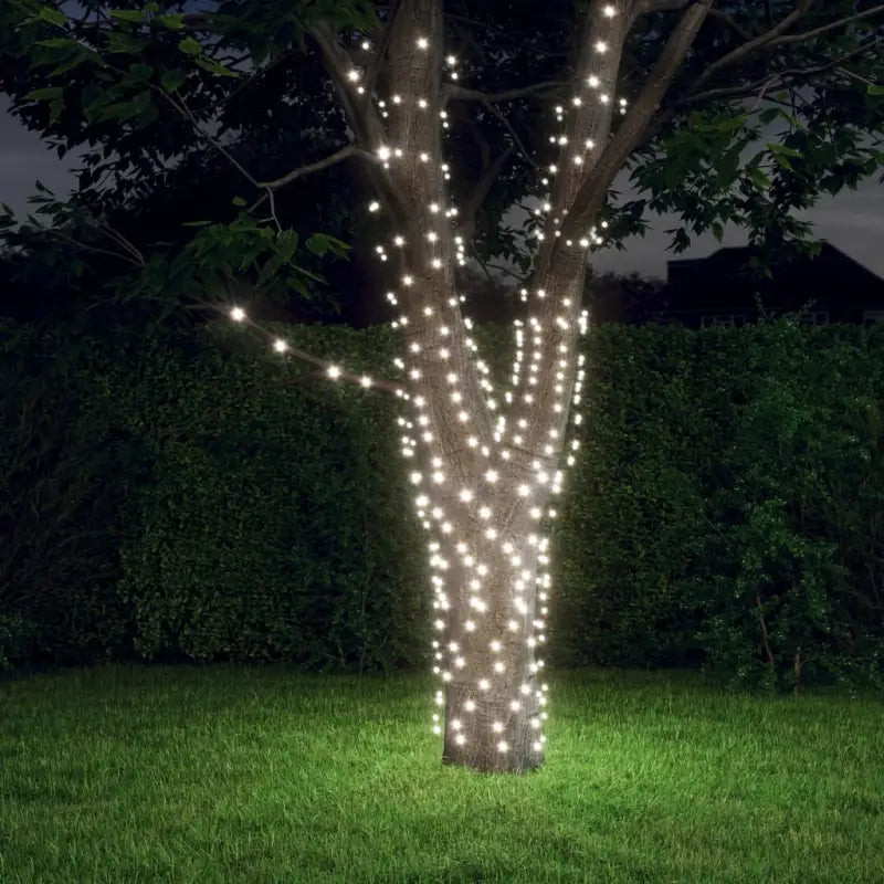 Energiebesparende LED Kerstverlichting met veel LEDs voor feestdagen - Koudwit / 2 / 1 - Kerstverlichting