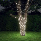Energiebesparende LED Kerstverlichting met veel LEDs voor feestdagen - Koudwit / 5 / 1 - Kerstverlichting