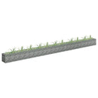 Gegalvaniseerd Staal Gabion Plantenbak voor Stijlvolle Tuinranden - Bloempotten & plantenbakken