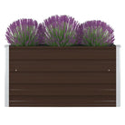 Gegalvaniseerd Staal Verhoogd Tuinbed voor Planten en Groenten - Bloempotten & plantenbakken